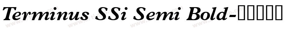 Terminus SSi Semi Bold字体转换